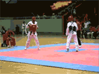 TAEKWONDO VOS ( maroc vs tunisie )